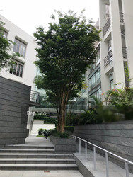 The Loft (D10), Condominium #197466372